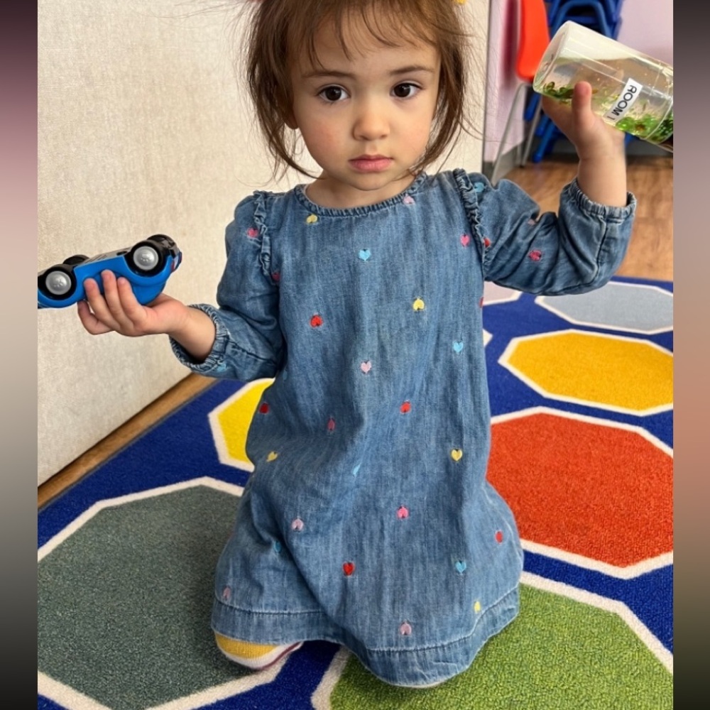 Embroidered hearts denim dress by BabyGAP. 2T - Picture 2 of 6